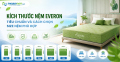 Kích thước nệm Everon tiêu chuẩn và cách chọn size nệm phù hợp