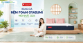 Bảng giá nệm foam Oyasumi mới nhất 2026