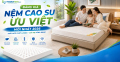 Bảng giá nệm cao su Ưu Việt mới nhất 2026