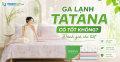 Ga lạnh TATANA có tốt không? Đánh giá chi tiết