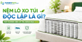Nệm lò xo túi độc lập là gì? Top thương hiệu uy tín, đáng mua 2026