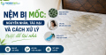Nệm bị mốc: Nguyên nhân, tác hại và cách xử lý triệt để tại nhà