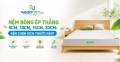 Nệm bông ép thẳng 5cm, 10cm, 15cm, 20cm: Nên chọn kích thước nào?