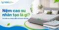 Nệm cao su nhân tạo là gì? Tìm hiểu ưu, nhược điểm và lợi ích của nệm