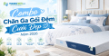 Combo chăn ga gối đệm cưới đẹp năm 2026