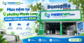 Mua nệm tại phường Phước Long chính hãng, giá tốt 2026