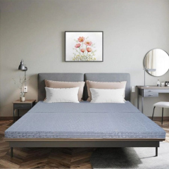 Đệm Bông Ép Hanvico Vải Gấm Giảm 15% + Quà Tại Thế Giới Nệm