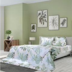 Bộ chăn ga gối Sông Hồng Elegance E19M01 Giảm 50%