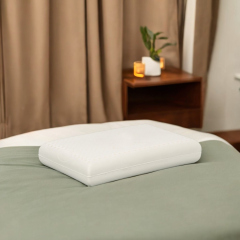 Gối cao su Oval Vạn Thành Ưu Đãi Giá Tốt tại Thế Giới Nệm