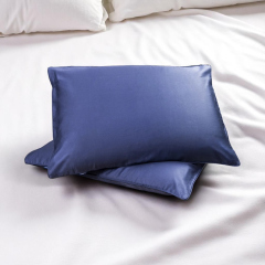 Cặp áo gối Liên Á OLIO Giảm 20% Tại Thegioinem.com