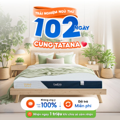 Nệm cao su than hoạt tính TATANA Cool Grey êm ái, hàng chất lượng cao