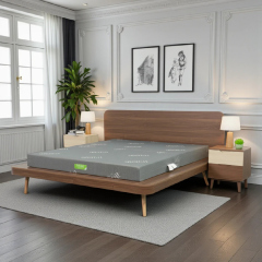 Đệm Foam bông TATANA gấp 2 giảm 35% tại Thế Giới Nệm