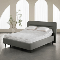 Nệm AI DeRUCCI T11 SE MOS1-001A