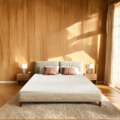 Nệm Cao Su Kim Cương 5Zone AloeLux Xả Kho 70%