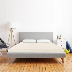 Nệm Cao Su Vạn Thành SEGOVIA xả kho | Thegioinem.com