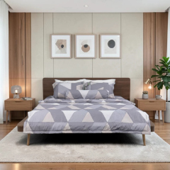 Ga TATANA Silver PL190 Đồng Giá 449k tại Thế Giới Nệm