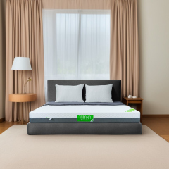 Nệm Cao Su Nhân Tạo Mát Lạnh TATANA xả kho tại Thế Giới Nệm
