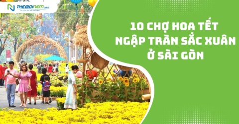 10 chợ hoa Tết ngập tràn sắc xuân ở Sài Gòn