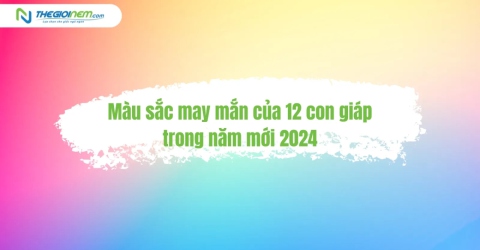 Màu sắc may mắn của 12 con giáp trong năm mới 2024