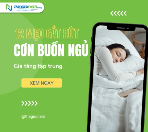 12 mẹo cắt đứt cơn buồn ngủ, gia tăng sự tập trung  | Thegioinem.com