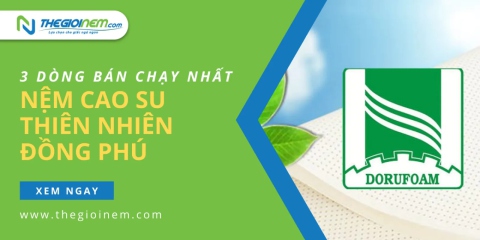 3 chiếc nệm cao su thiên nhiên Đồng Phú được tin dùng nhất