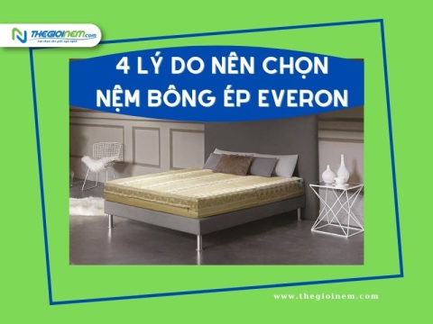 4 lý do bạn nên chọn nệm bông ép Everon cho gia đình mình