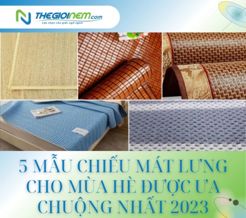 5 mẫu chiếu mát lưng cho mùa hè được ưa chuộng nhất