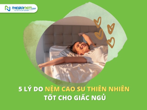 5 lý do khiến nệm cao su thiên nhiên tốt cho giấc ngủ