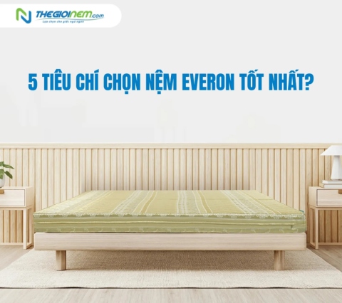 5 Tiêu Chí Chọn Nệm Everon Tốt Nhất? | Thegioinem.com