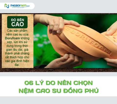 6 lý do bạn nên chọn nệm cao su Đồng Phú