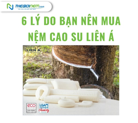 6 lý do bạn nên mua nệm cao su Liên Á | Thegioinem.com