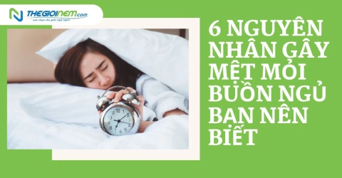 6 Nguyên Nhân Gây Mệt Mỏi Buồn Ngủ  Bạn Nên Biết