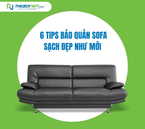 6 Tips bảo quản sofa sạch đẹp như mới | Thegioinem.com