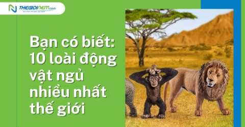 Bạn có biết: 10 loài động vật ngủ nhiều nhất thế giới