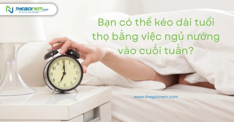 Bạn Có Thể Kéo Dài Tuổi Thọ Bằng Việc Ngủ Nướng Vào Cuối Tuần