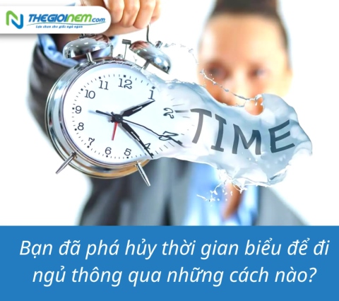 Bạn đã phá hủy thời gian biểu để đi ngủ thông qua những cách nào?