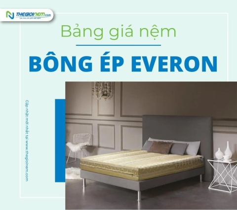 Bảng giá nệm bông ép Everon khuyến mãi mới nhất