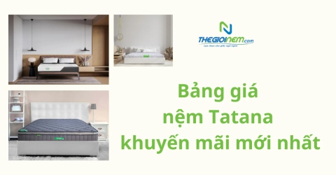 Bảng giá nệm Tatana cập nhật mới nhất 2024