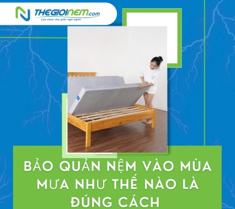 Bảo quản nệm vào mùa mưa như thế nào là đúng cách 