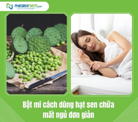 Bật mí cách dùng hạt sen chữa mất ngủ đơn giản