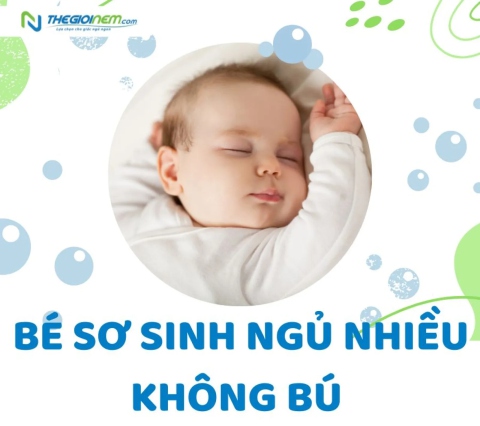 Bé sơ sinh ngủ nhiều không bú có sao không?