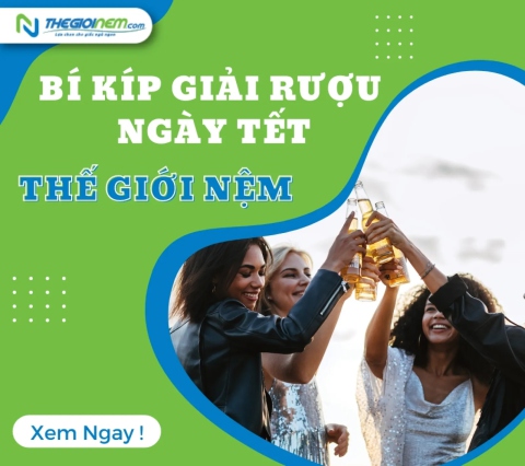 Bí kíp giải rượu ngày Tết - Thế Giới Nệm