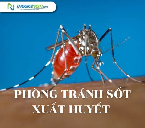 Các biện pháp phòng tránh sốt xuất huyết vào mùa mưa