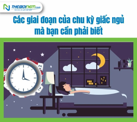 Các giai đoạn của chu kỳ giấc ngủ mà bạn cần phải biết