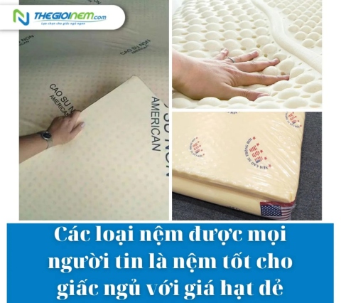 Các loại nệm được mọi người tin là nệm tốt cho giấc ngủ với giá hạt dẻ