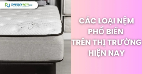 Các Loại Nệm Phổ Biến Trên Thị Trường Hiện Nay