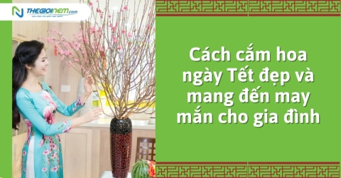 Cách cắm hoa ngày Tết đẹp và mang đến may mắn cho gia đình