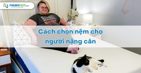 Cách chọn nệm cho người nặng cân - Thế Giới Nệm