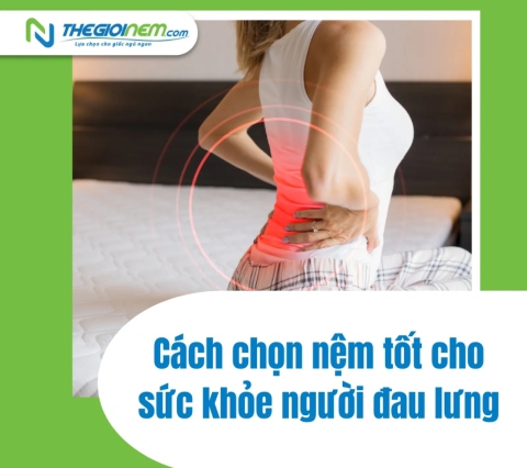 Cách chọn nệm tốt cho sức khỏe người đau lưng - Thế Giới Nệm
