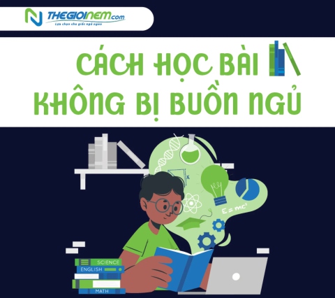 Cách để không buồn ngủ khi học bài khuya | Thegioinem.com